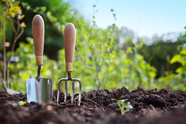 gardener